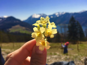 Kinderglück - unser Thaio